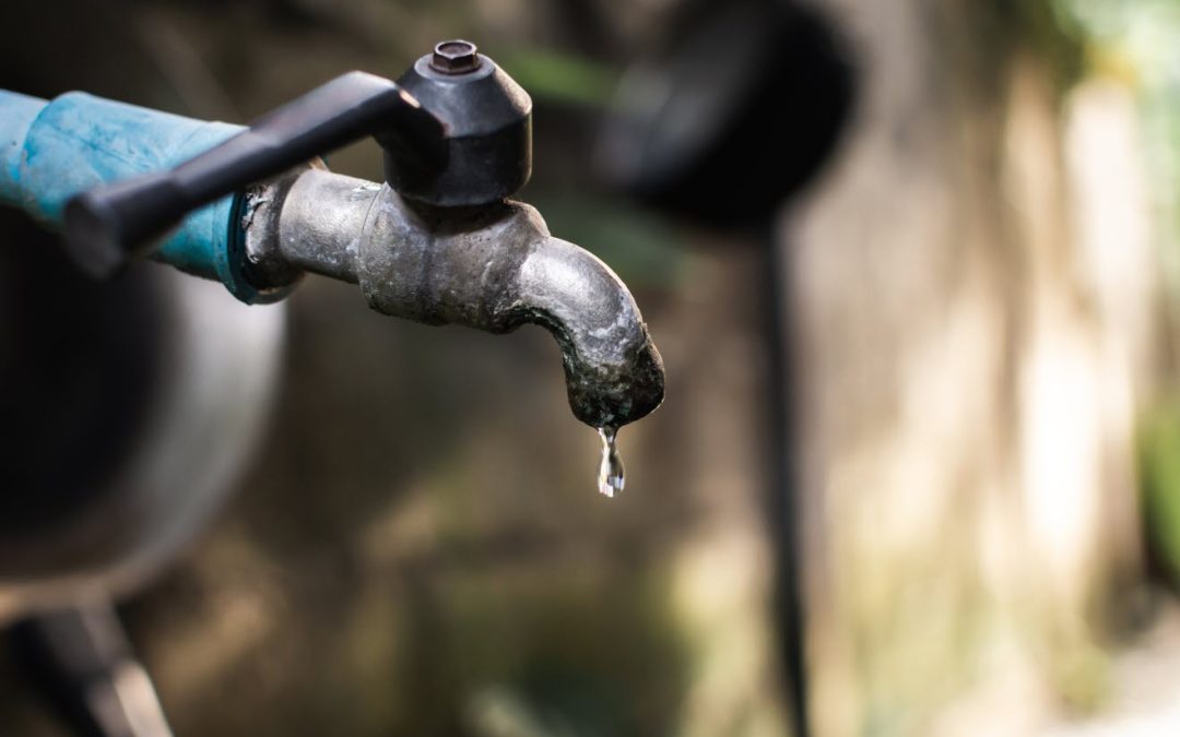 Manque d&rsquo;eau : quelles restrictions peuvent arriver pour laver sa voiture, arroser sa pelouse, etc. ?