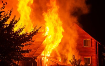 Comment éviter les incendies et feux de forêt ?